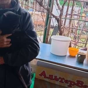 Борис Мо, 62 года