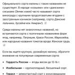 Кирилл : 