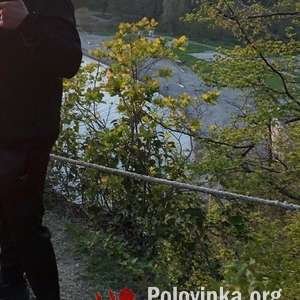 Александр , 39 лет