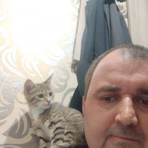 Сергей , 44 года