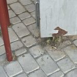 Олег : 
