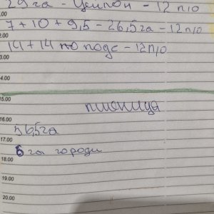 Алексей , 51 год
