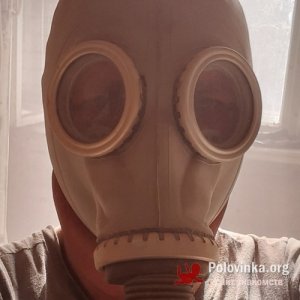 Александр , 41 год