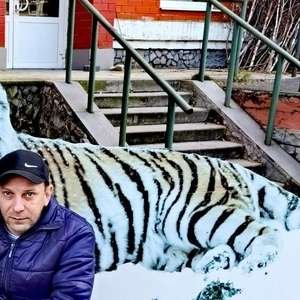 Андрей , 42 года