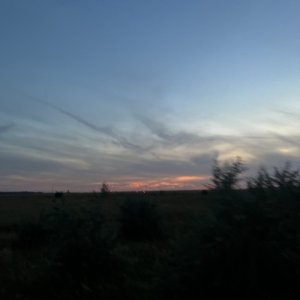 Адиль , 23 года