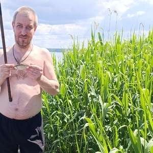 Сергей , 42 года