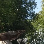 Елена, 58 лет