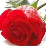 Александр, 28 лет