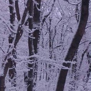 Алексей , 41 год