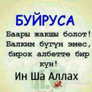 АИДА Акматова, 48 лет
