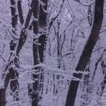 Алексей, 41 год