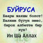 АИДА, 48 лет