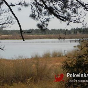Шурик , 58 лет