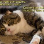 Миха, 44 года
