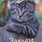Валера, 36 лет