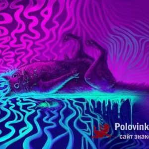 Дима Мисник, 29 лет