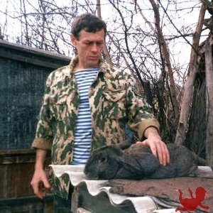 Игорь Иванов, 59 лет