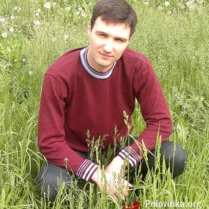 Дмитрий Золкин, 38 лет