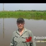 Александр, 36 лет