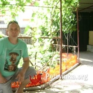 Андрей , 49 лет