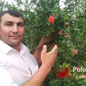 Рамин Мустафеф, 45 лет