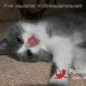 Миха , 38 лет