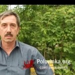 Николай, 63 года