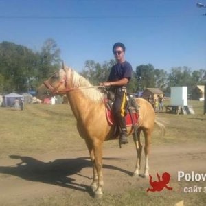 Владимр , 29 лет