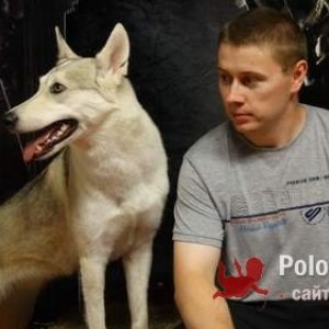 Леонид Гаськов, 35 лет