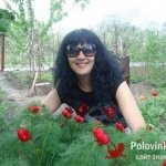 Люся, 40 лет
