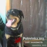 Иван, 42 года