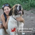 Галина, 33 года