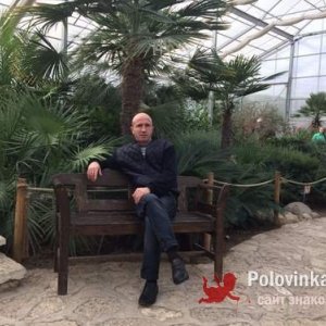 Александр , 43 года
