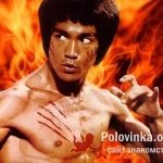 Дмитрий, 44 года