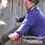 Паша, 58 лет