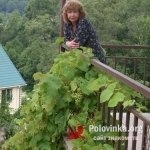 Людмила, 64 года