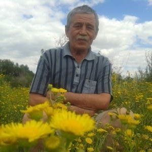 Alex , 71 год