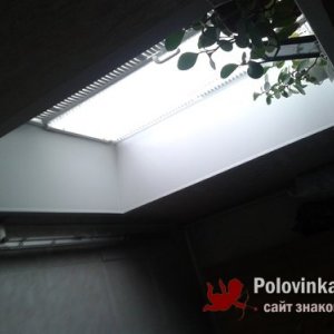 Лиза Жданкина, 38 лет