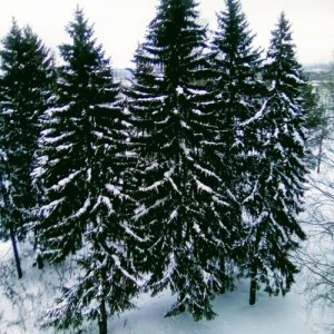 Георгий , 55 лет