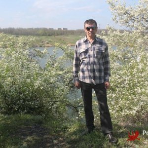 владимир логвиненко, 57 лет