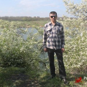 владимир логвиненко, 58 лет
