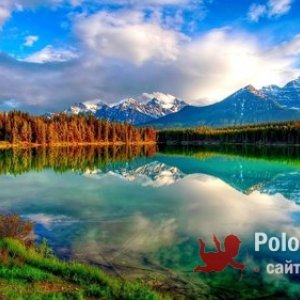 Роман , 47 лет