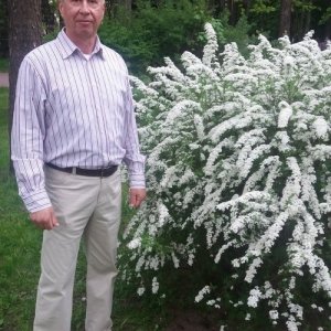 Александр , 70 лет