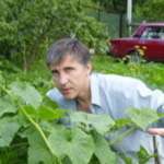 Александр : 