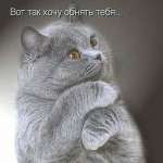 Ирина, 54 года