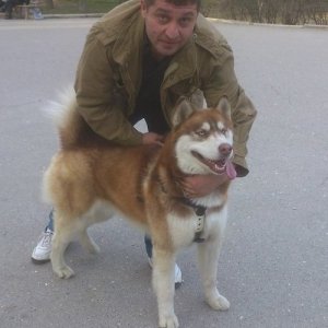 Рауль , 49 лет