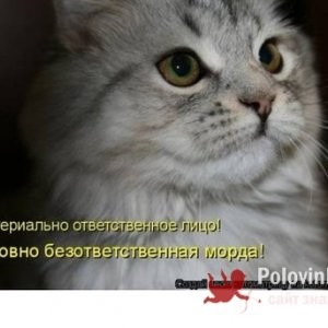 Игорка , 46 лет