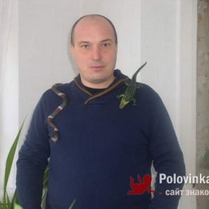 Алексей Закорчевный, 43 года