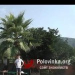 Игорь, 29 лет