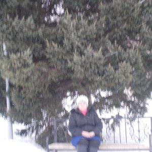 Светлана , 61 год